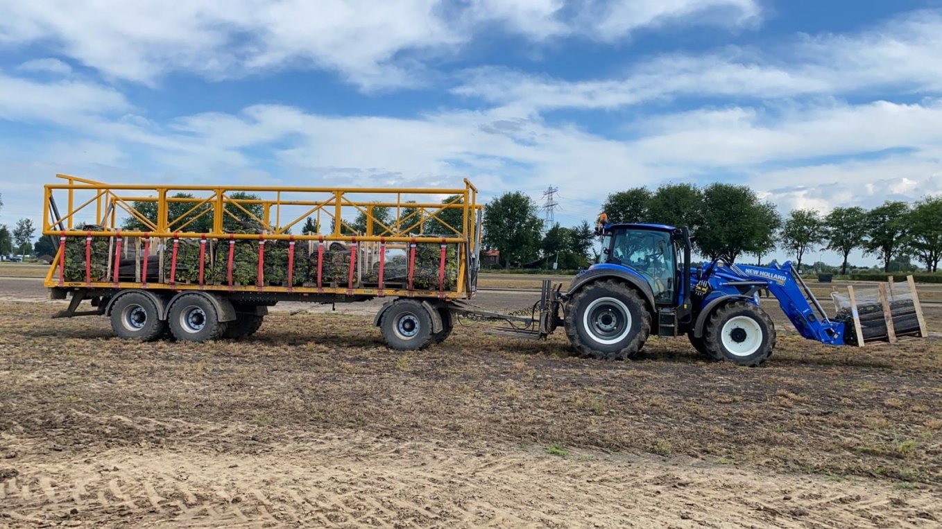 Een prachtige combinatie afgeleverd bij Sempergreen Een prachtige combinatie afgeleverd bij Sempergreen
