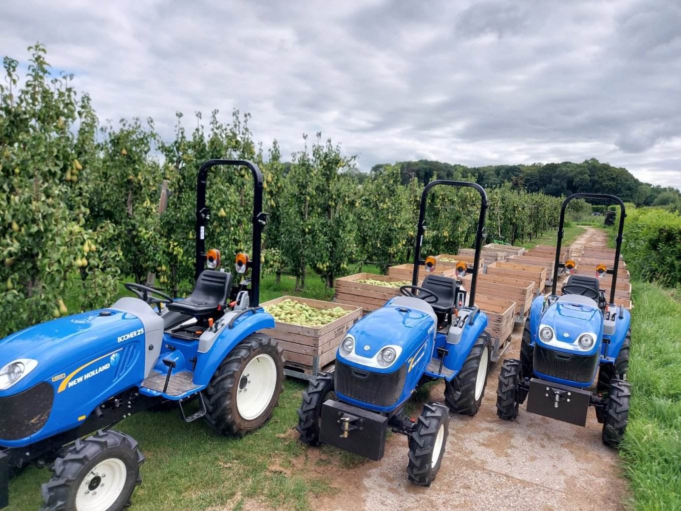 Drie stuks New Holland Boomer geleverd aan Fruitbedrijf Gerritsen Drie stuks New Holland Boomer geleverd aan Fruitbedrijf Gerritsen