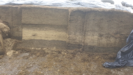 20210127_124901_resized 20210127_124901_resized