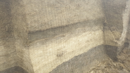 20210127_124032_resized 20210127_124032_resized