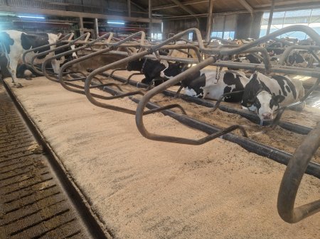 20240304_165258_resized 20240304_165258_resized