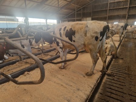 20240304_165307_resized 20240304_165307_resized