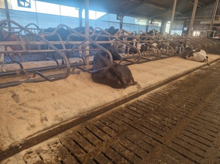 20240304_165245_resized 20240304_165245_resized