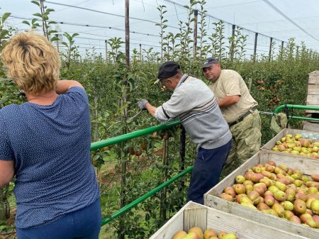 IMG-20240822-WA0005 IMG-20240822-WA0005