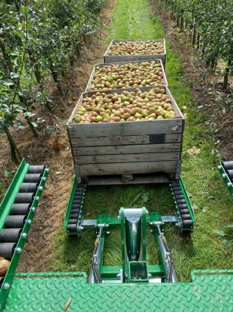 IMG-20240822-WA0017 IMG-20240822-WA0017