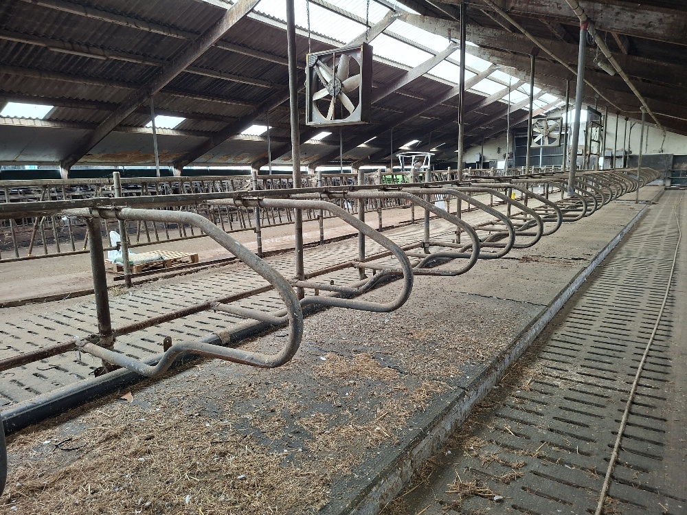 STALBOXEN ZWEVEND 33 STUKS